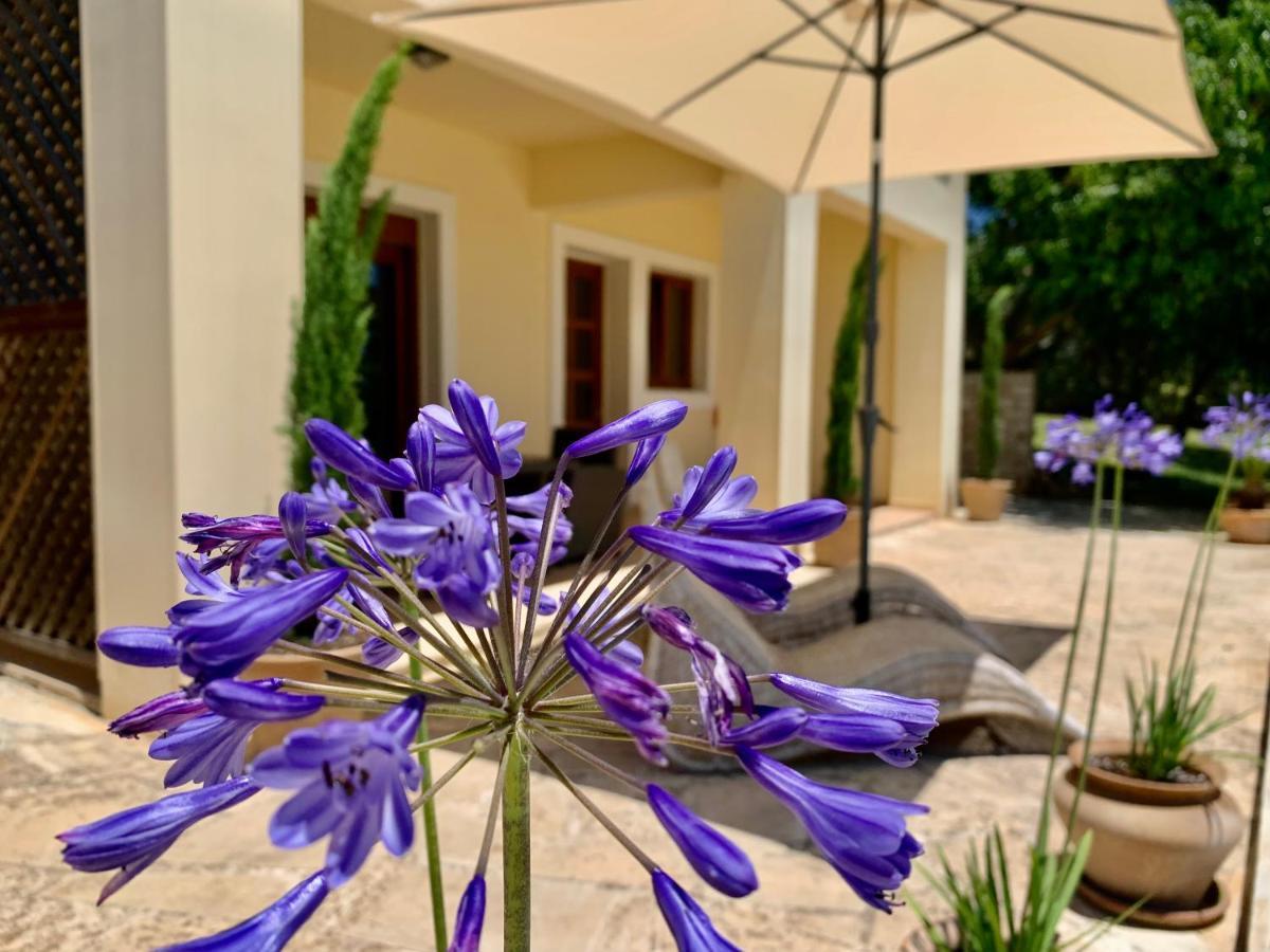 Aggelos And Thisbe Chania Suburbs Sea View Guest House Zewnętrze zdjęcie